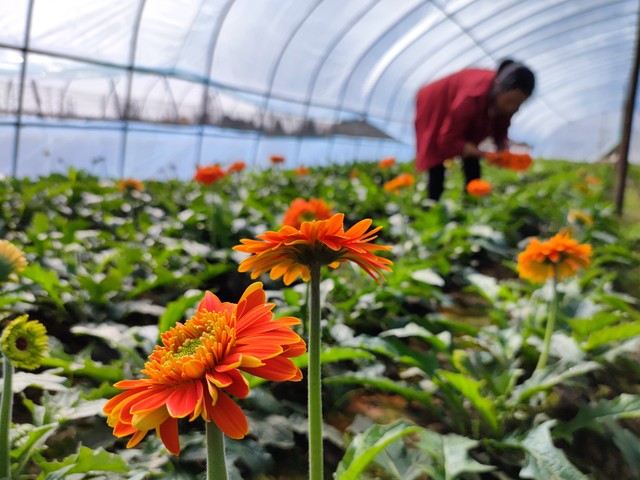 未来两年农村最有前途的四个生意,农村十大冷门暴利生意有哪些