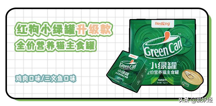 红狗小绿罐怎么样,月销量1000算不算冷门车