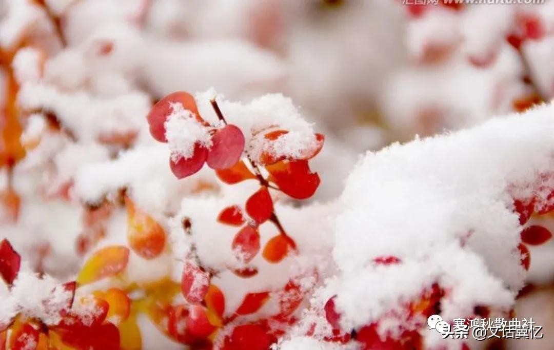 鐭冲搴勮瘲璇嶅崗浼氬拰璇楄瘝瀛︿細,涓浗璇楄瘝瀛︿細浼氬憳浣滃搧