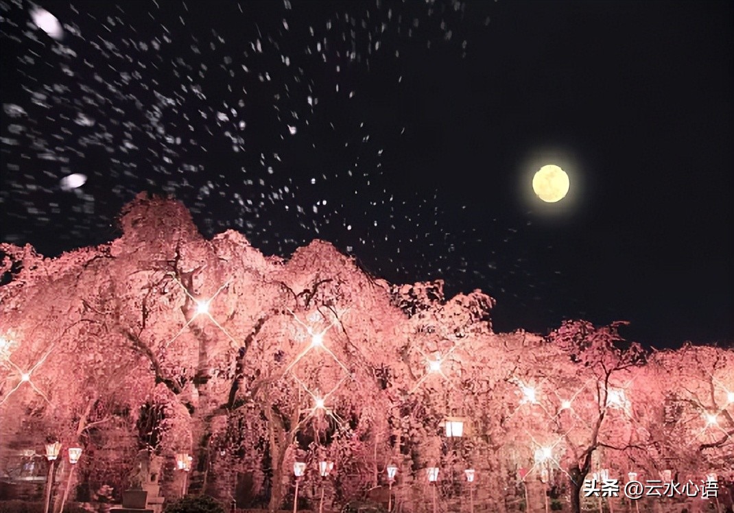 七言诗郑板桥赏析,咏郑板桥七绝