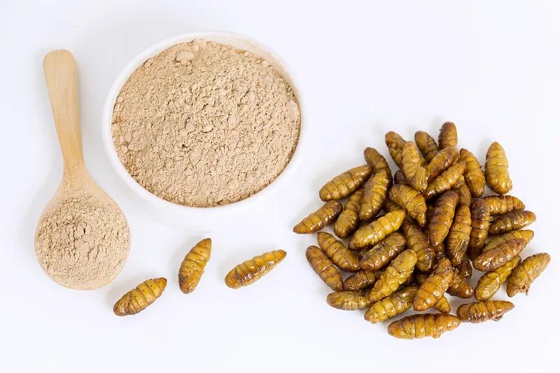 「鱼食制作」金鱼饲料怎么制作金鱼饲料制作方法