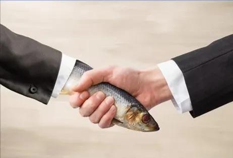 职场新人必须了解如何握手,女性在职场中的握手礼仪分享