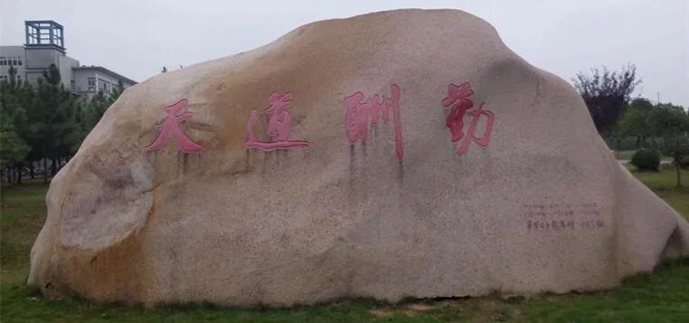 615分，你会选南京邮电大学计算机还是杭州电子科技大学计算机？