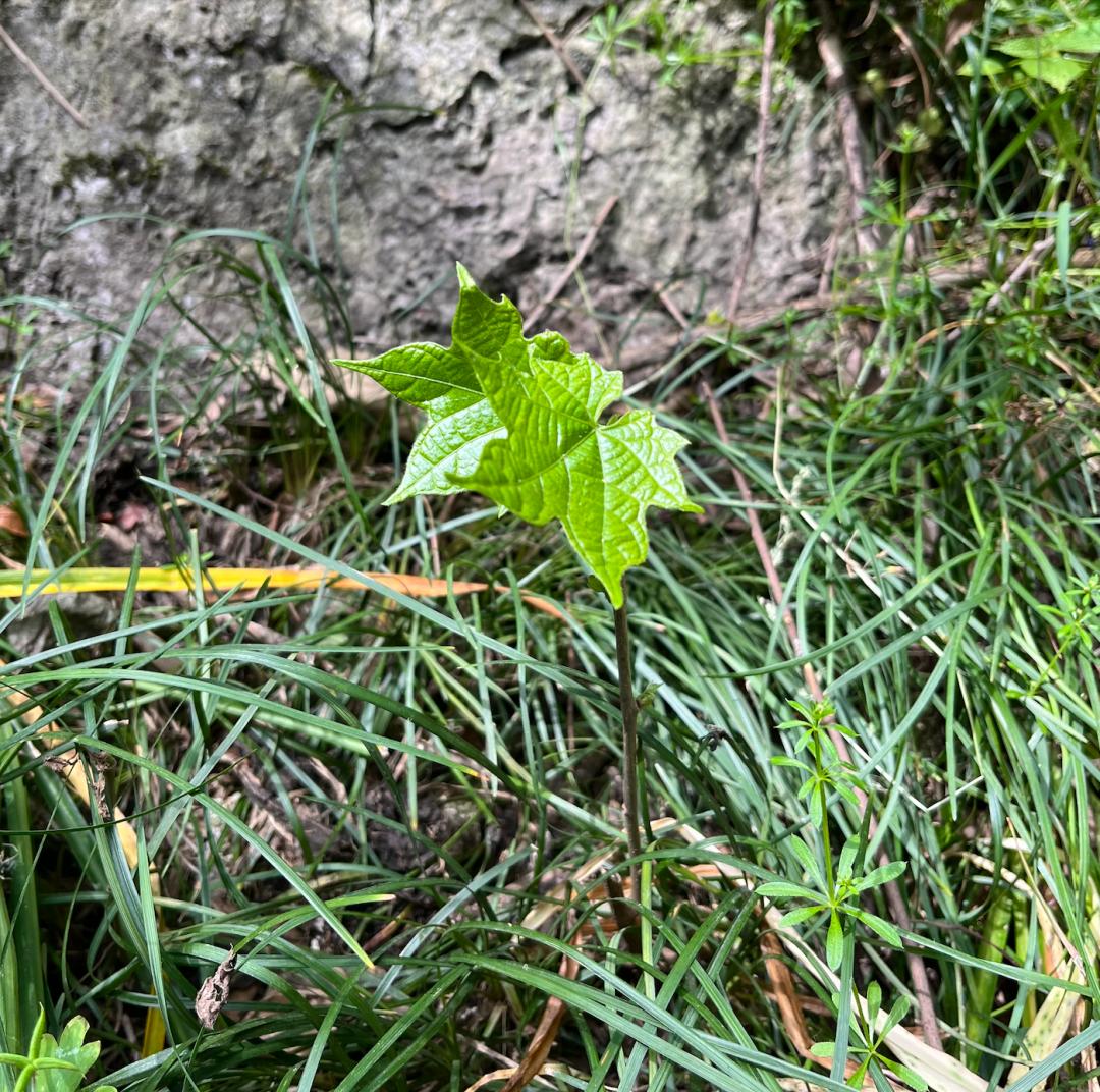 宜兴旅游陶祖圣境,宜兴玉女潭游览图