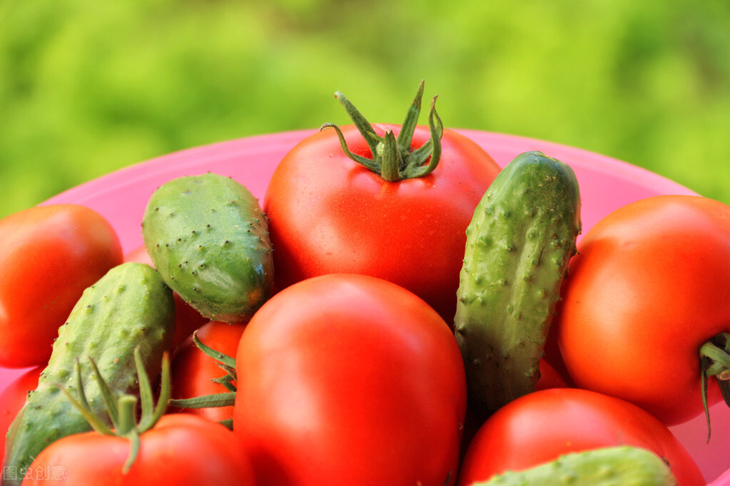 最新农民政策消息,农民政策新动向2024