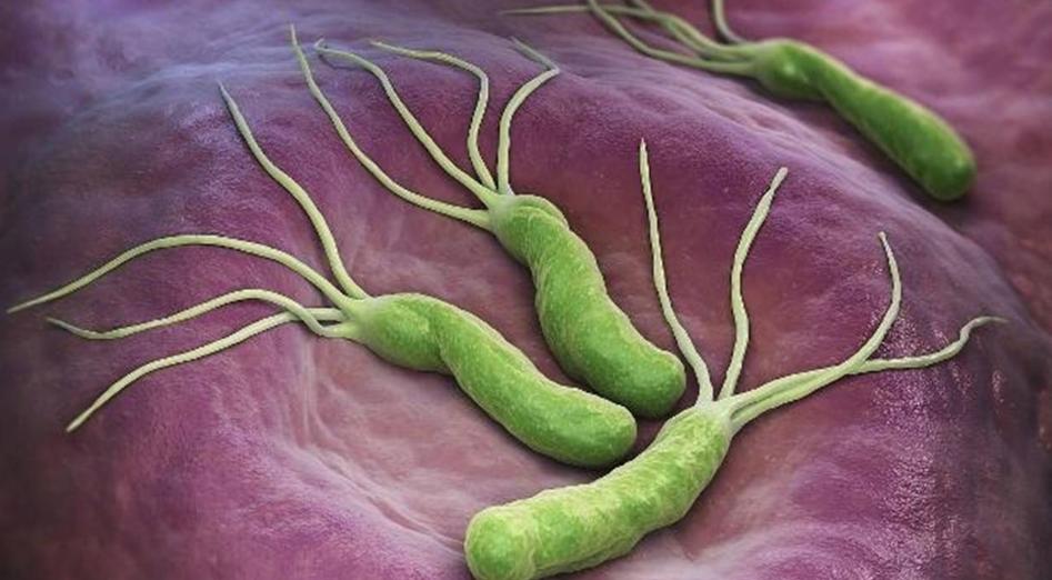 甲硝唑一瓶有多少粒大概多少钱,甲硝唑几块钱