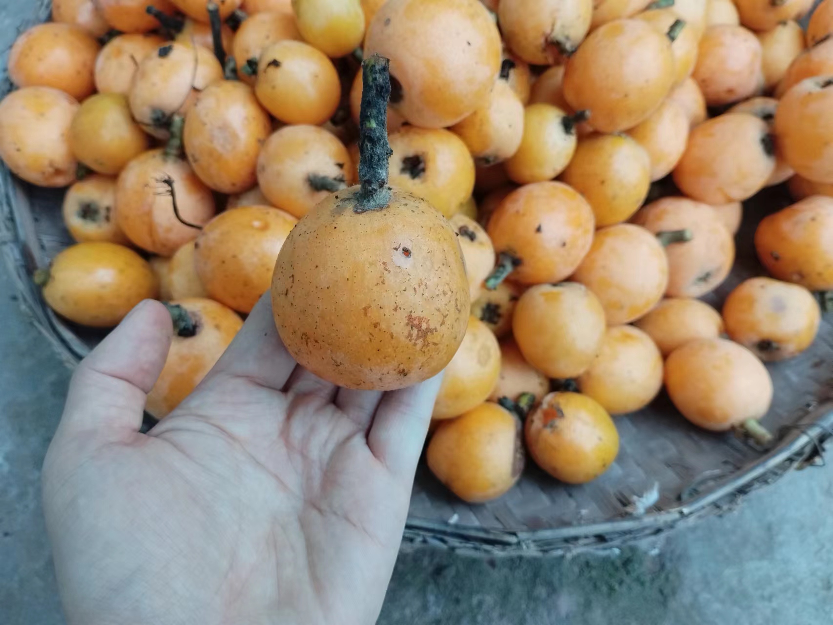 五菱龙卡货车怎么样,五菱龙卡3.8米小货车多少钱