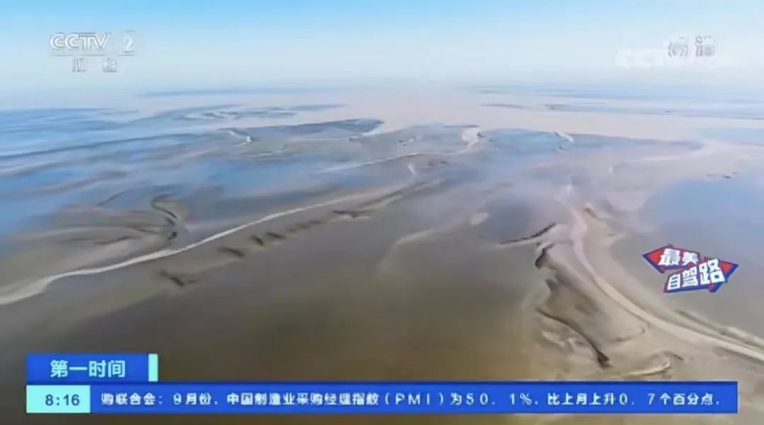 《新闻联播》点赞！国庆假期前两天，央视多个栏目连续聚焦盐城