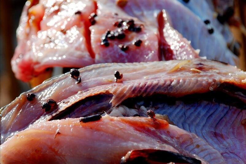 腌腊鱼怎么去腥味,腌腊鱼怎么腌