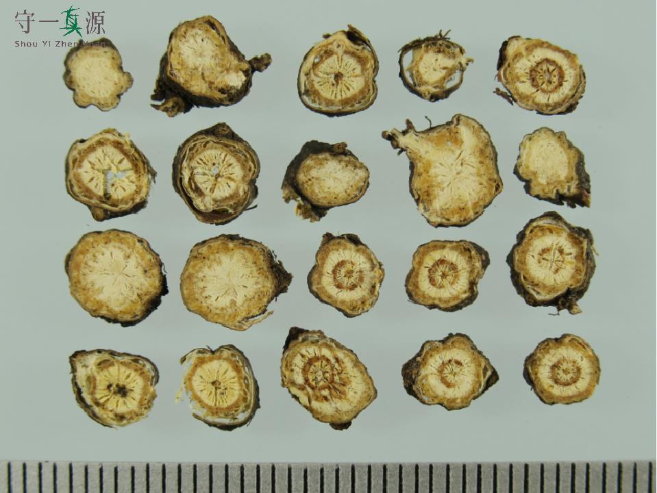 中药真伪鉴定案例,中药鉴定真假找谁