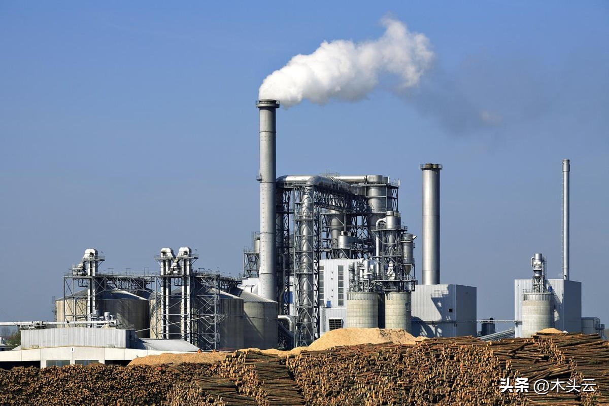 木浆价格走势分析,纸浆8月现货价格