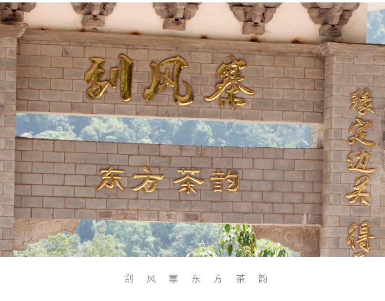 喝明白,易武茶高端品牌刮风寨