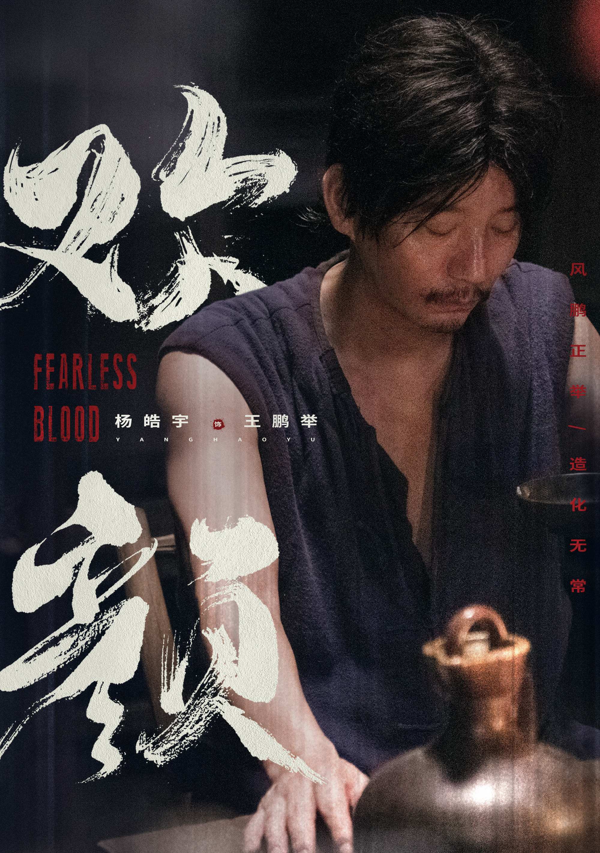 谍战剧欢颜17集介绍,经典谍战剧欢颜