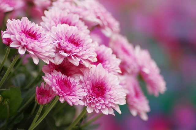 涓勾浠ュ悗濠氬Щ,涓勾濠氬Щ瀹炴儏