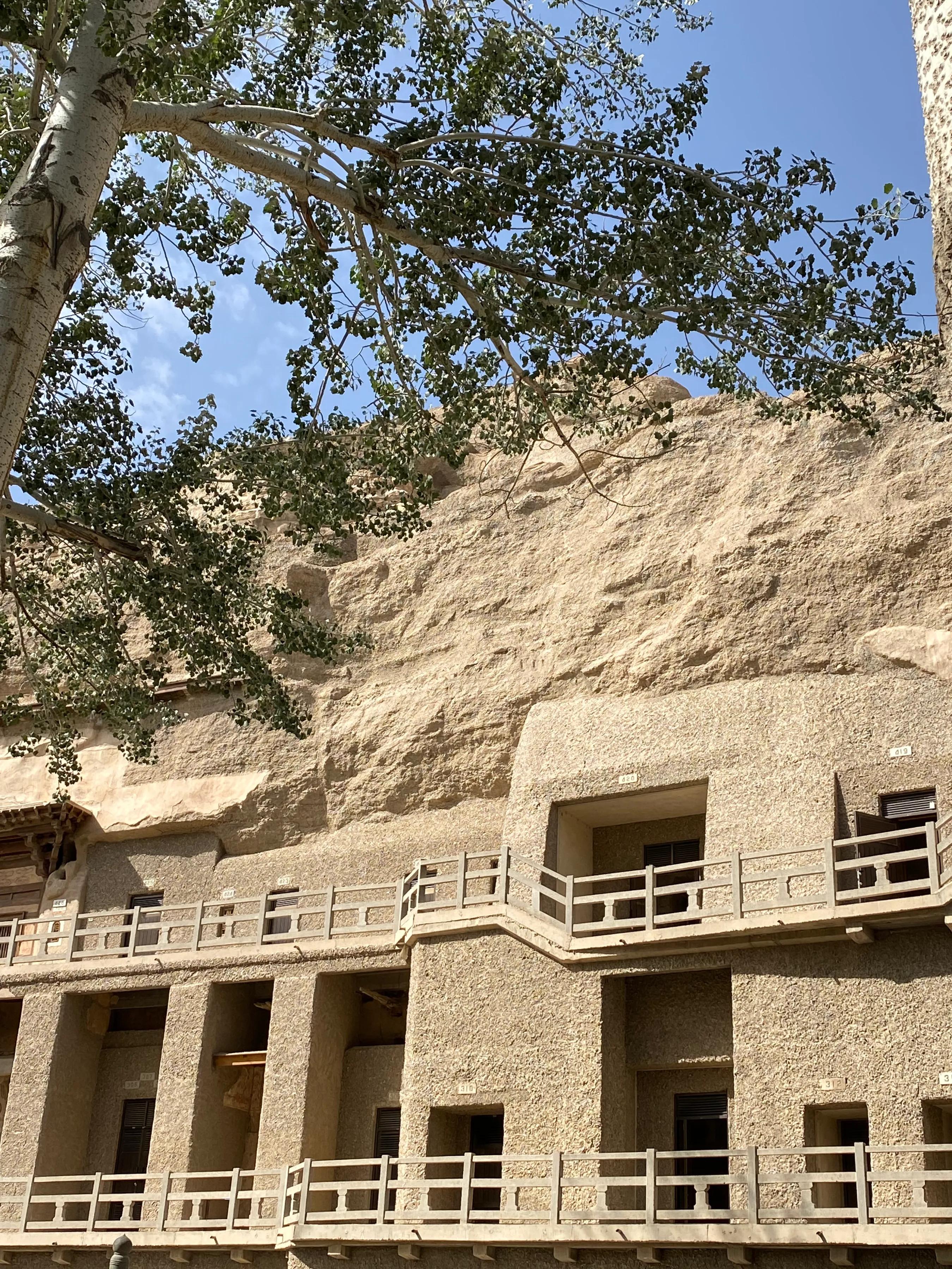 敦煌莫高窟佛光,莫高窟佛光显现