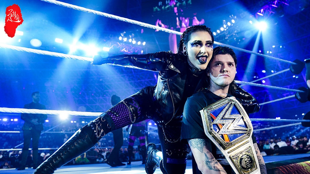 wwe赛斯两次击败猛兽,wwe赛斯受伤后谁获得了冠军