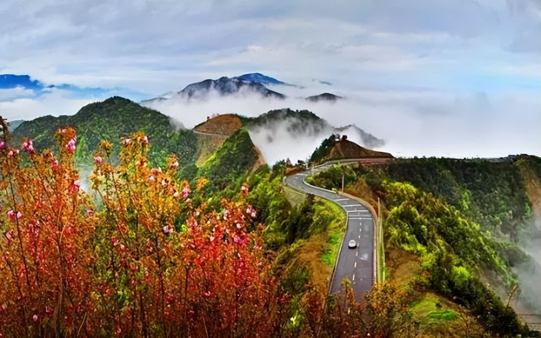 情人节长长的告白,情人节简短告白话