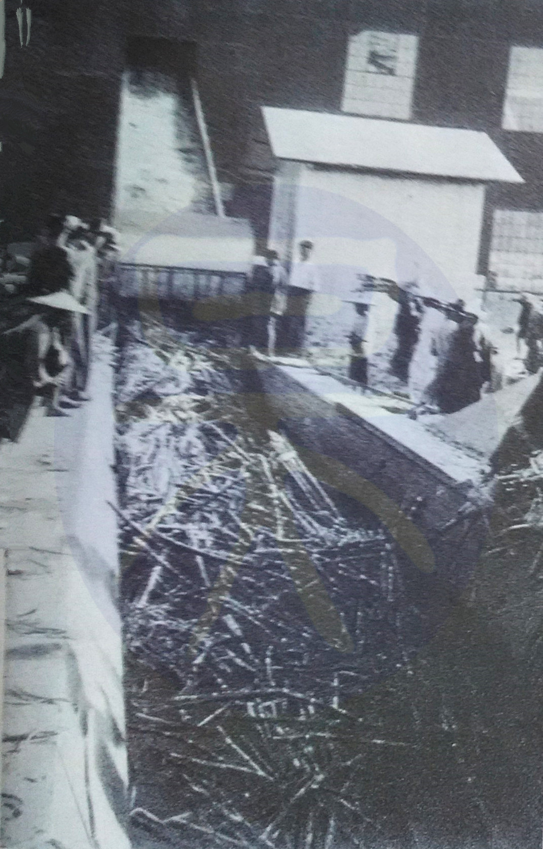 中国制糖业历史,上一世纪五十年代广东十大糖厂