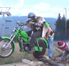 女生衣服上的字母含义,你知道衣服上的字什么意思吗