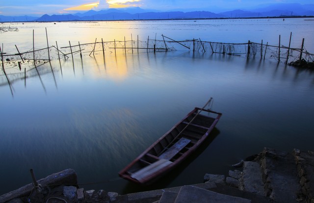 白菊与黄菊花的区别,白菊花泡水喝的功效有哪些