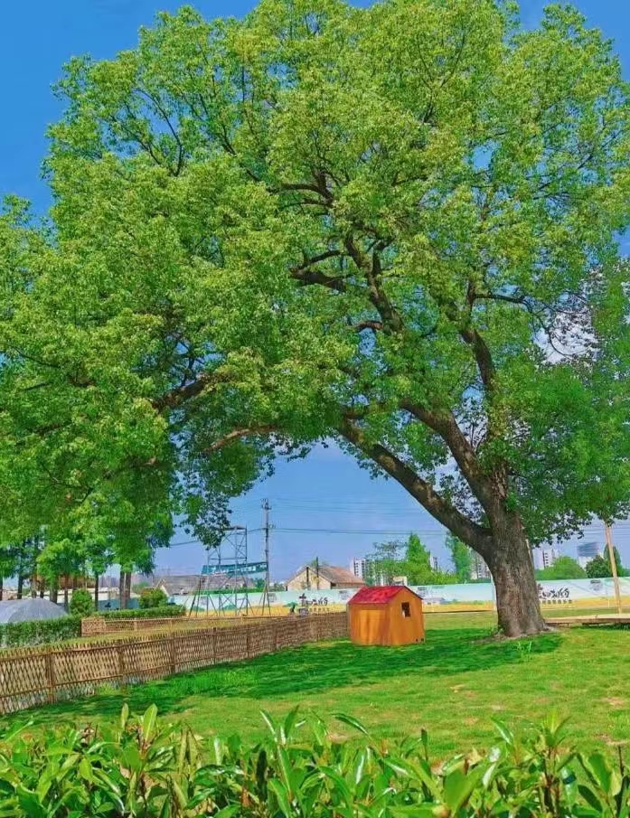 10个少年，192天扎根土地，1场热血难凉、持续加更的青春实录