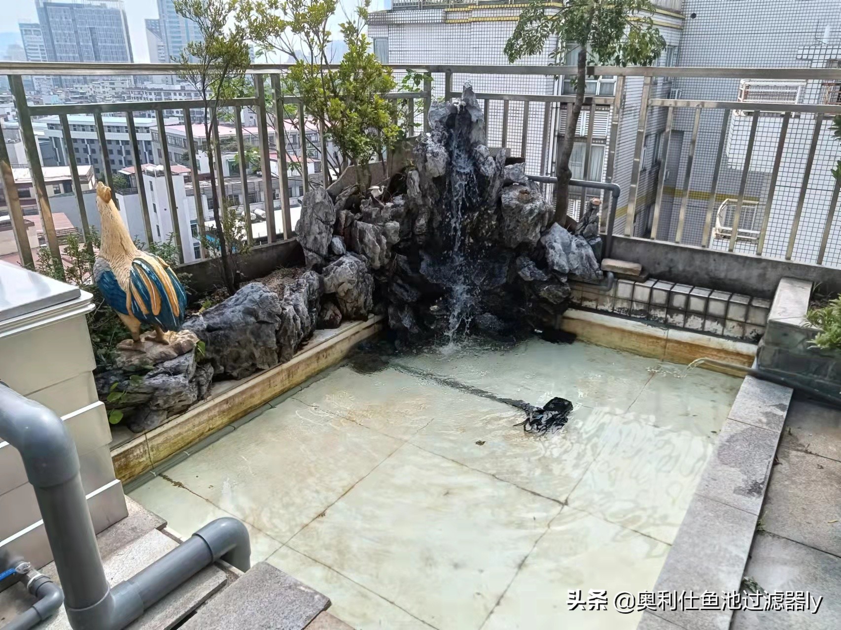 锦鲤鱼池智能水净化系统,南通锦鲤鱼池水净化