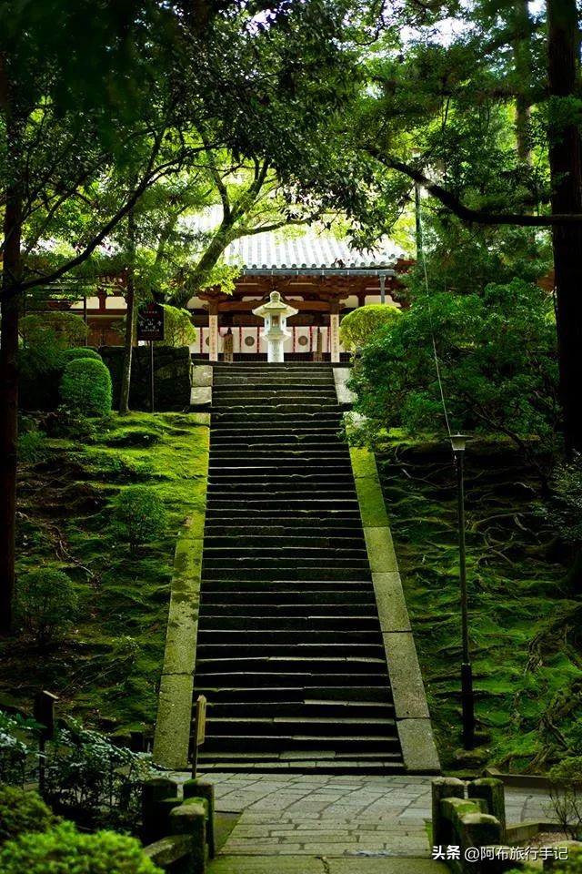 日本内秀之城，奈良好不好，过夜细品更有发言权