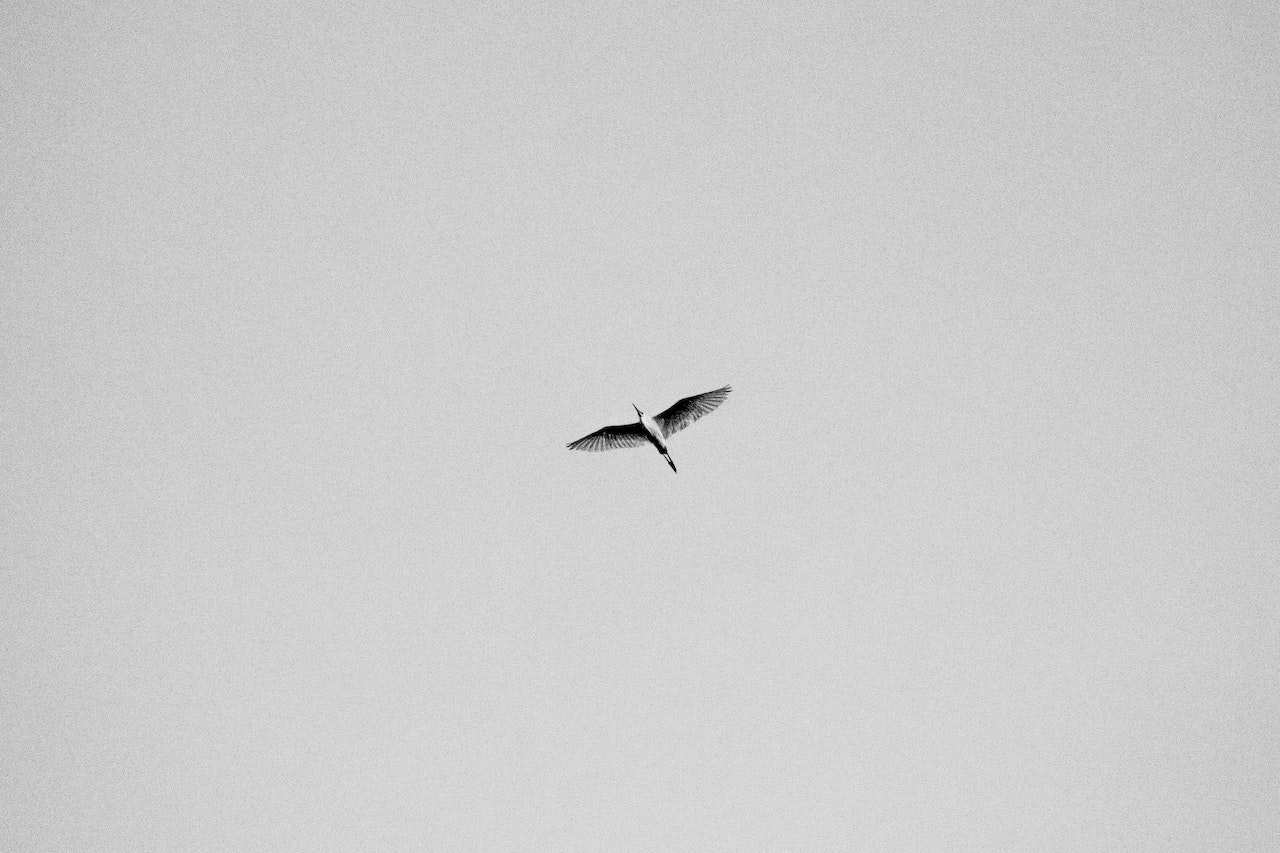 悼念已逝去的岁月,悼念去世3年人的感悟