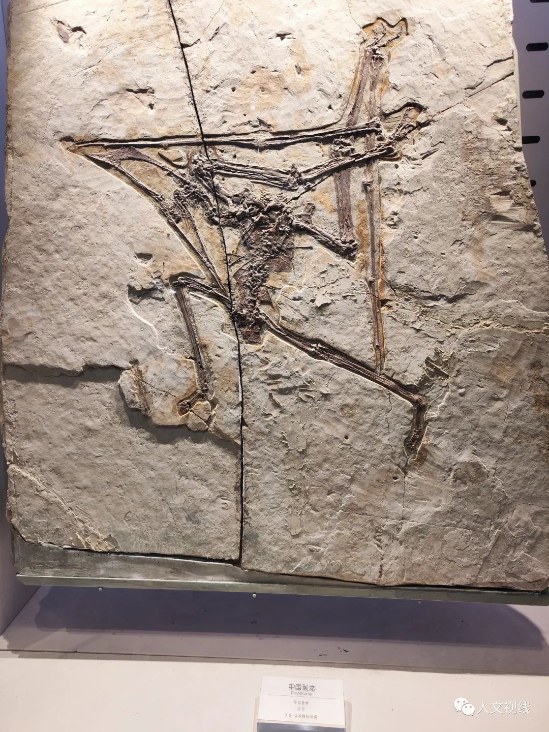 清明回乡,清明祭祖回乡记