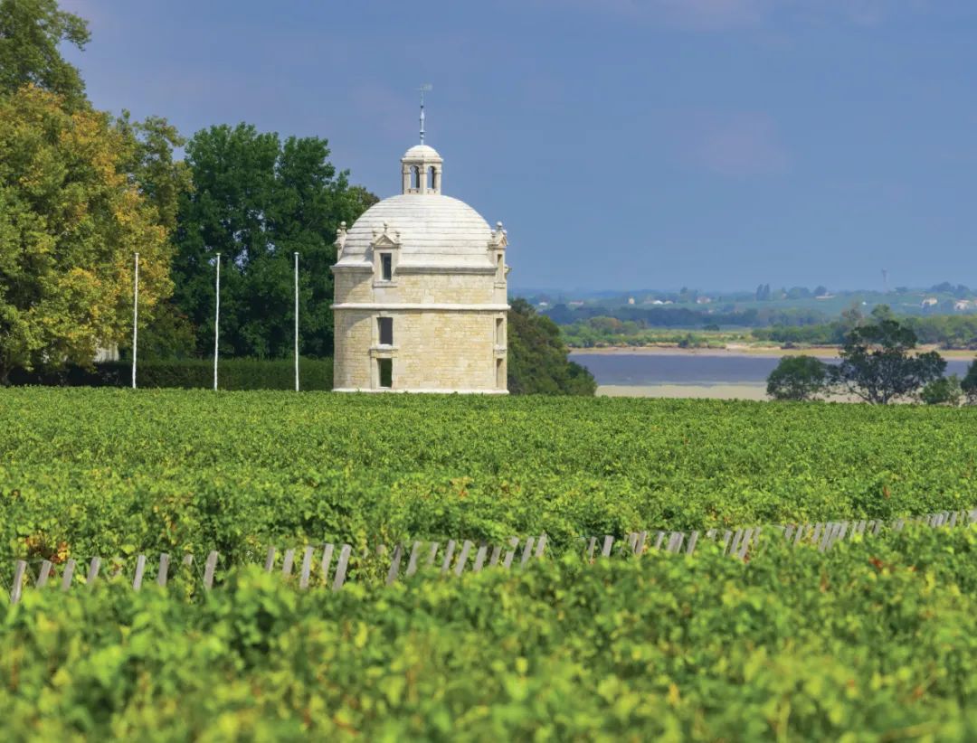 退出期酒体系10年后，拉图的地位还在吗？