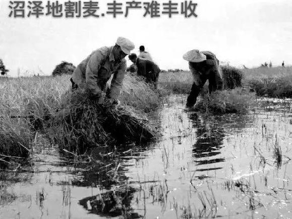 北大荒的解放军,东北抗联神秘的队伍