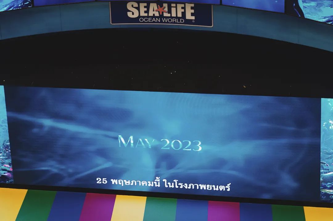 谁懂啊,泰国也太好逛了!