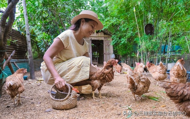 新型家庭农场的致富路,家庭农场的发展红利又将迎来高潮