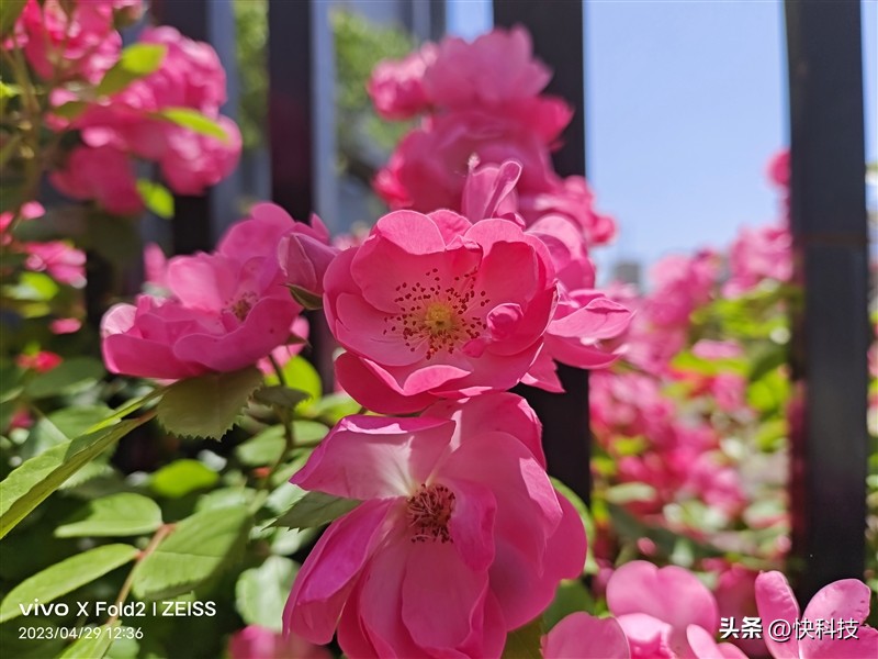 全能轻薄和强劲性能,vivoxfold2为什么叫全能旗舰