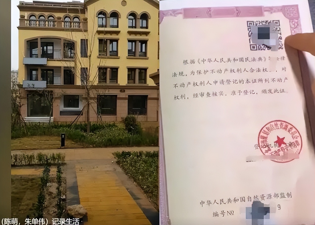 陈萌送大衣嫂母亲节礼物,陈萌大衣嫂最新视频