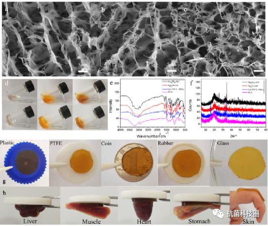 【科研快报】具有抗菌、光热和稳定的银钛氧簇水凝胶用于伤口愈合