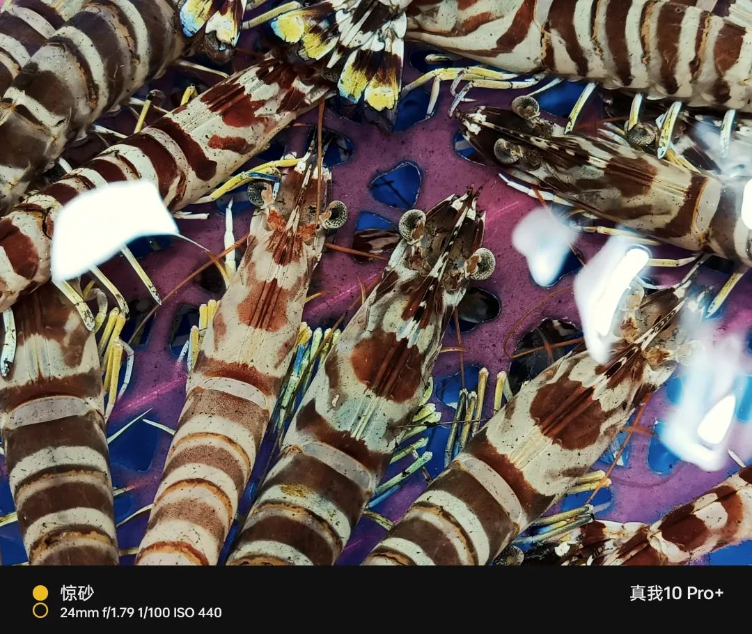 真我10pro超清三摄都有哪些,真我10pro手机一亿像素