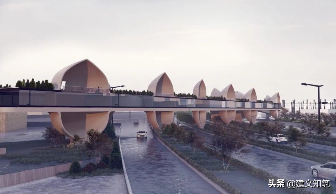 waf2023世锦赛,waf国内排名