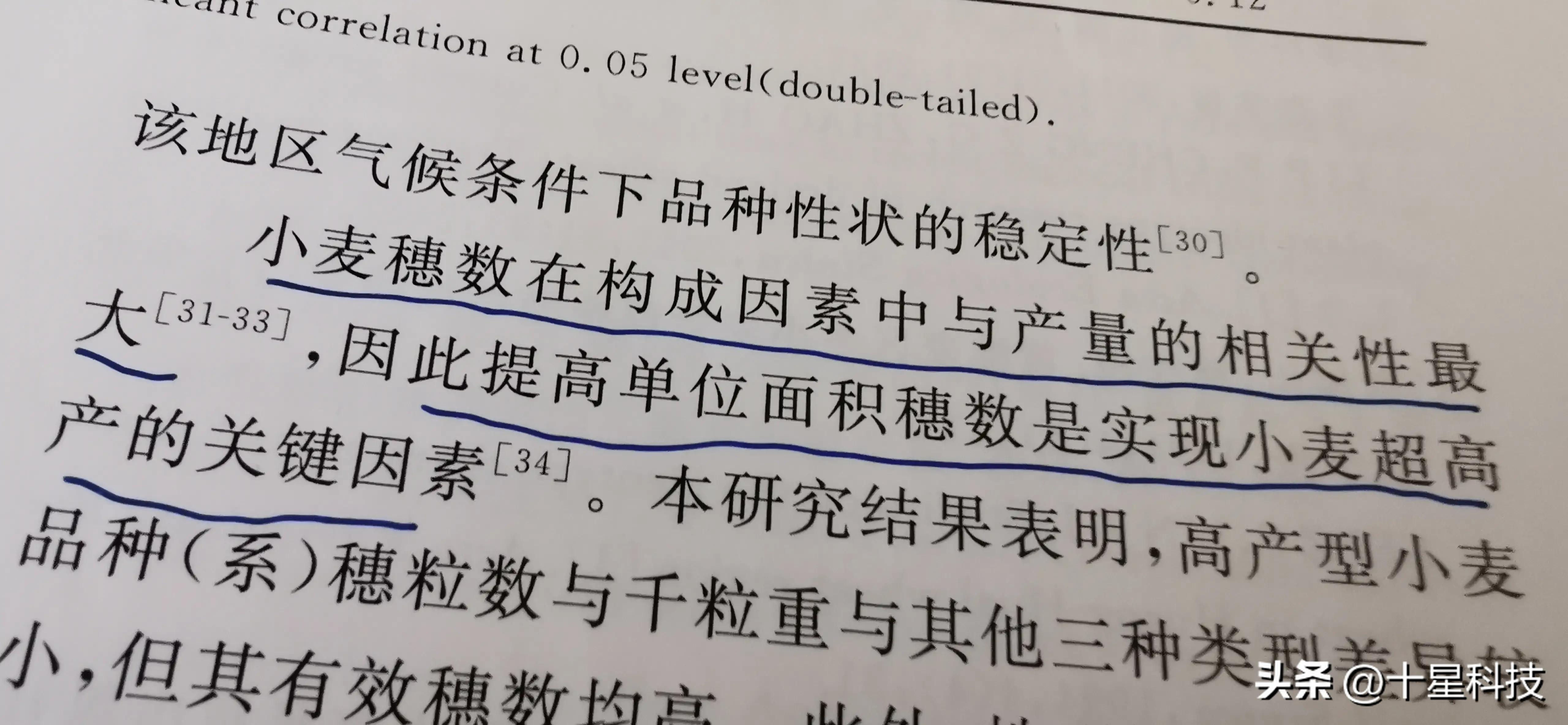 2021河南小麦品种对比图,泛麦803河南排名第一小麦品种