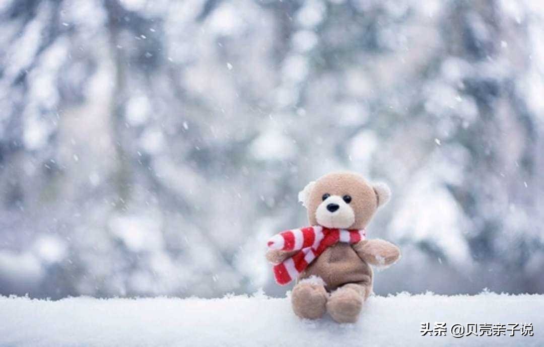 「睡前故事—暖萌动物系列」小熊的白水晶