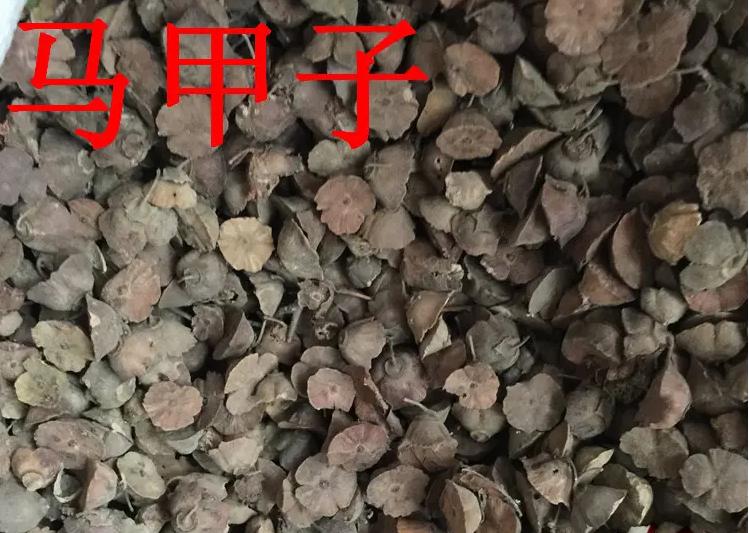 寒湿腰痛腿痛吃什么中成药,关节痛舒筋活血中成药有哪些