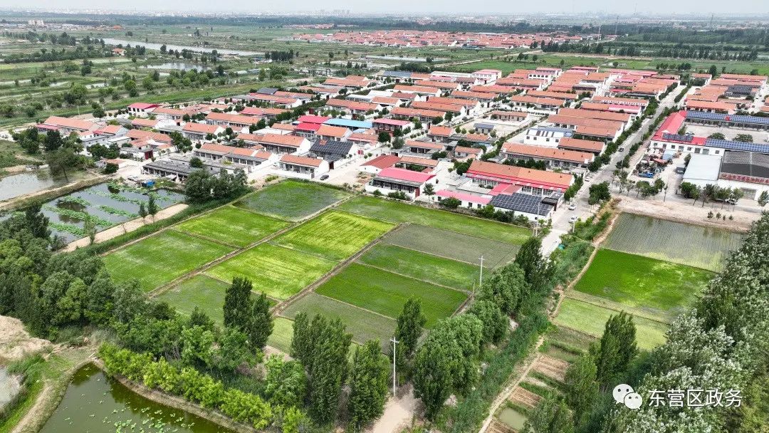 不负好时光田间地头助农忙,不负好时光春耕图