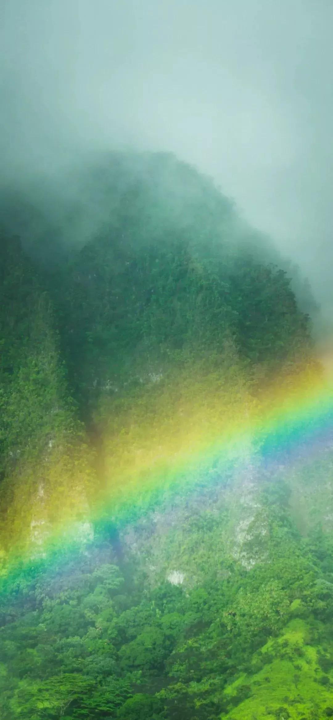 高清壁纸图片全屏干净高级,男士专用黑色美女全屏壁纸