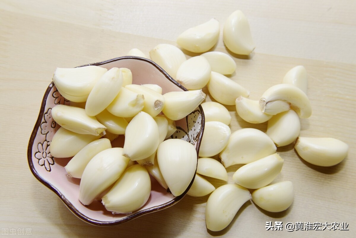 河南早熟蒜一般几月上市,早熟蒜跟晚熟蒜哪个产量高