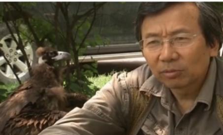 辽宁男子救助秃鹫,沈阳救助秃鹫