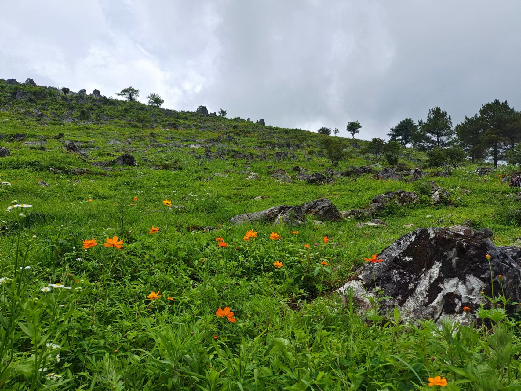 重庆石柱黄水避暑胜地,重庆旅游凉快的地方石柱黄水景区