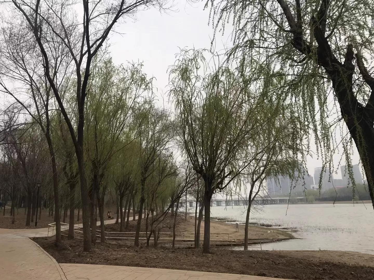 阳春三月的唯美诗词,阳春三月诗句精美句子