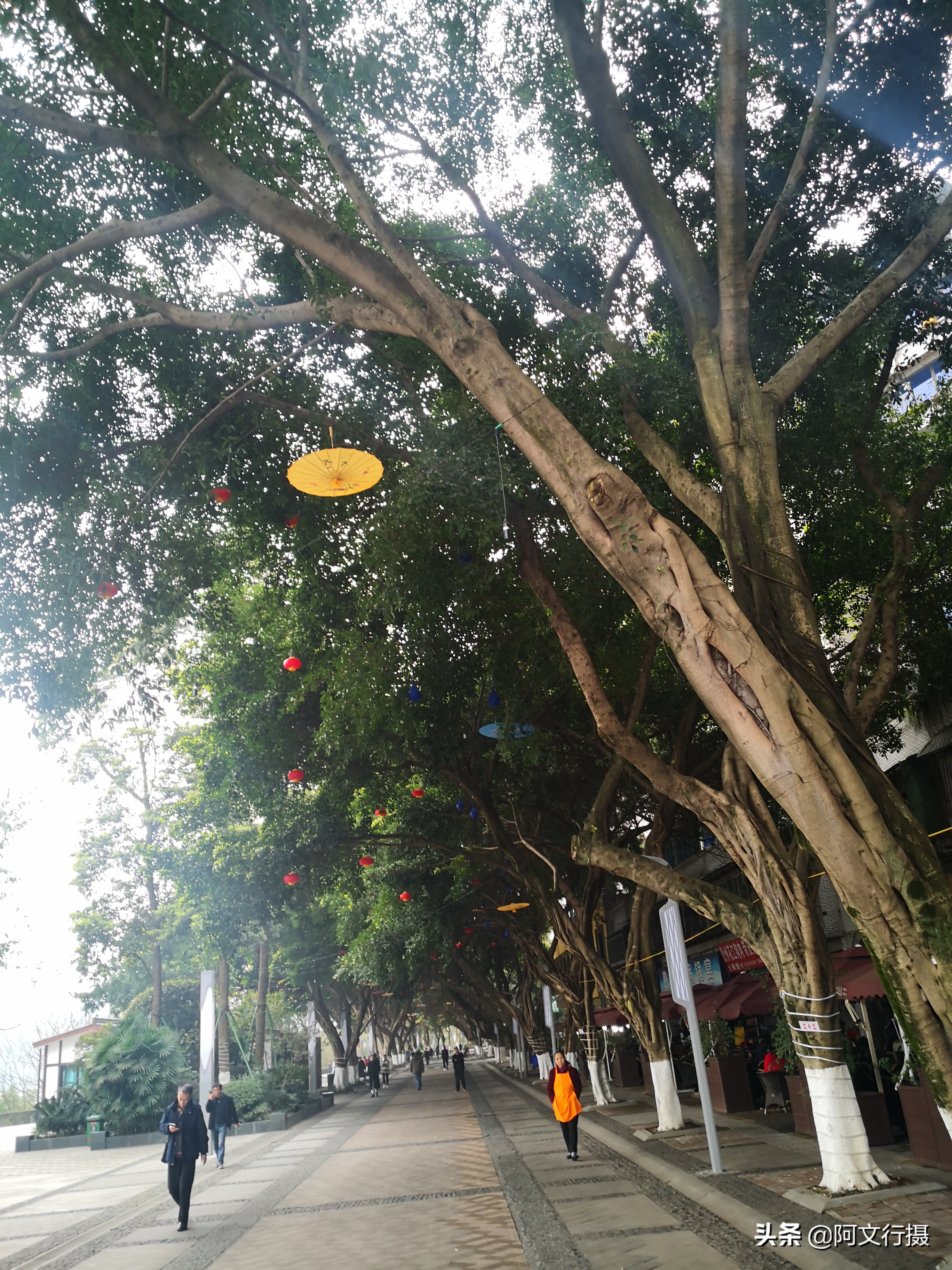 自驾游蜀南竹海一日游攻略,蜀南竹海自驾游旅游攻略图