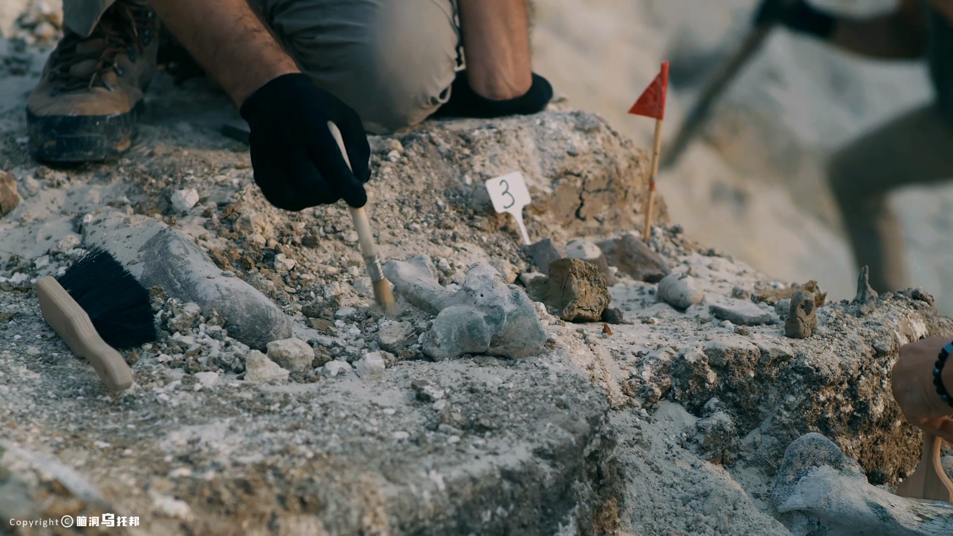 轰动全台湾杀妻案,台湾杀妻案真相