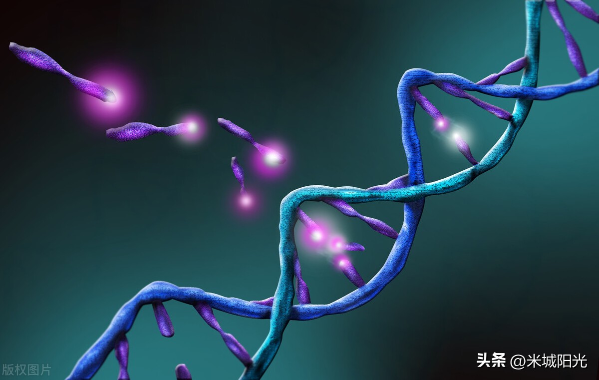 遗传学证实生男生女,生男生女到底是由什么原因决定的
